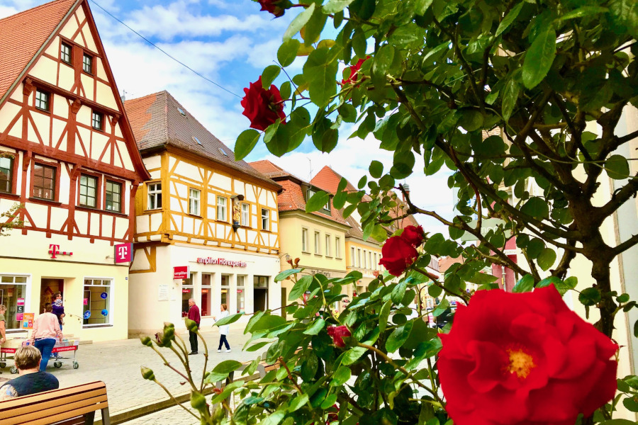 Fußgängerzone in Forchheim mit Fachwerkhäusern und roten Rosen im Vordergrund