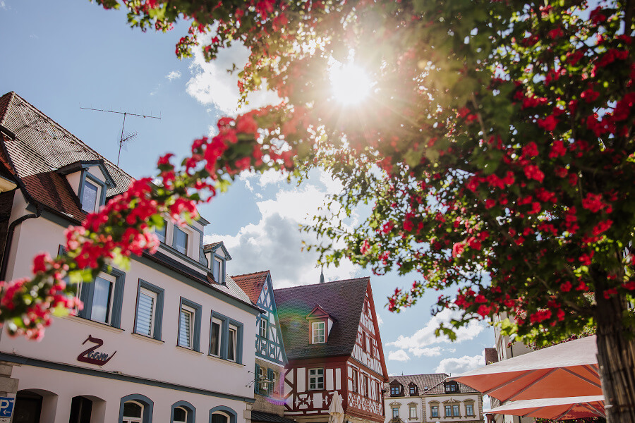 Altstadthäuser mit Fachwerk, blühender Baum und Sonne